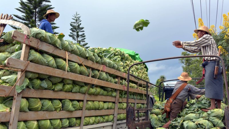 Myanmar Short Break Cycle Tour 11 Days